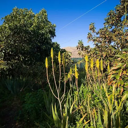 House Gáldar